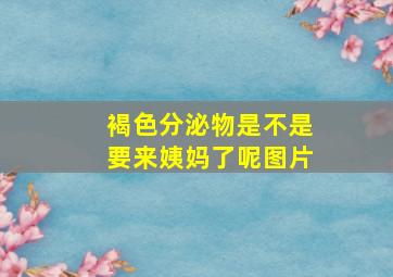 褐色分泌物是不是要来姨妈了呢图片