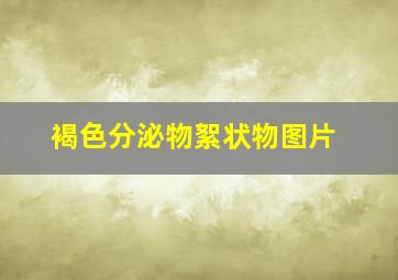 褐色分泌物絮状物图片