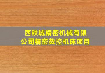 西铁城精密机械有限公司精密数控机床项目