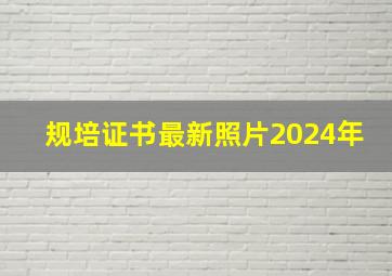 规培证书最新照片2024年