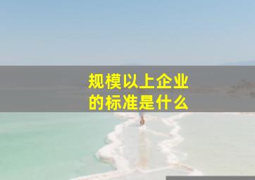 规模以上企业的标准是什么