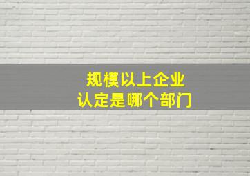 规模以上企业认定是哪个部门