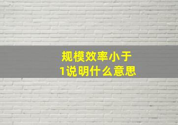 规模效率小于1说明什么意思