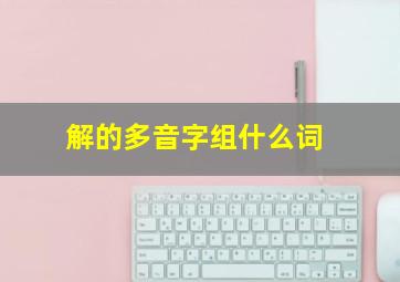 解的多音字组什么词