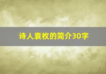 诗人袁枚的简介30字