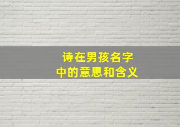 诗在男孩名字中的意思和含义