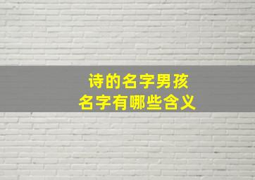 诗的名字男孩名字有哪些含义