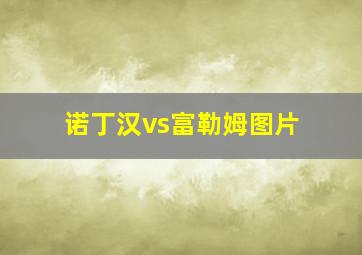 诺丁汉vs富勒姆图片