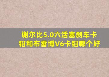 谢尔比5.0六活塞刹车卡钳和布雷博V6卡钳哪个好