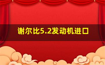 谢尔比5.2发动机进口