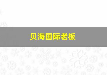 贝海国际老板