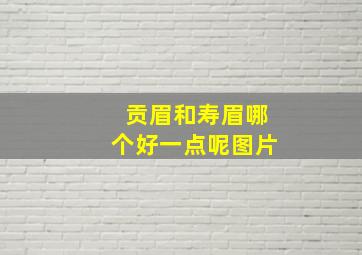 贡眉和寿眉哪个好一点呢图片