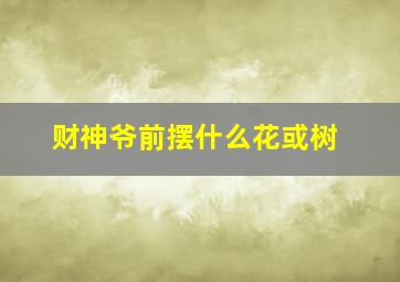 财神爷前摆什么花或树