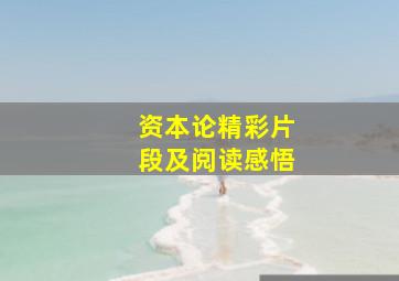 资本论精彩片段及阅读感悟