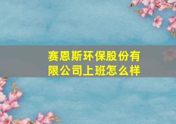 赛恩斯环保股份有限公司上班怎么样