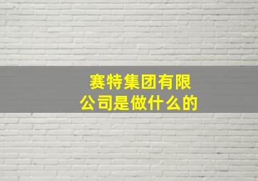 赛特集团有限公司是做什么的