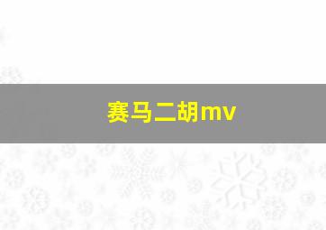 赛马二胡mv