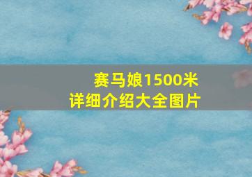 赛马娘1500米详细介绍大全图片