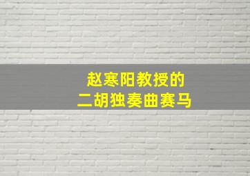 赵寒阳教授的二胡独奏曲赛马