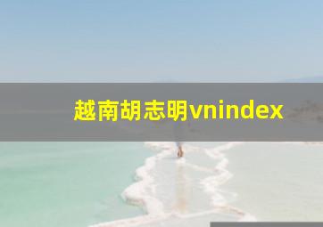 越南胡志明vnindex