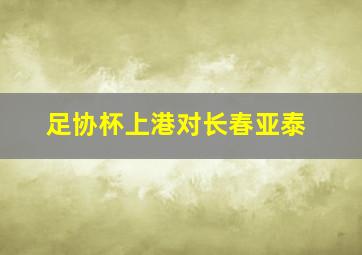 足协杯上港对长春亚泰