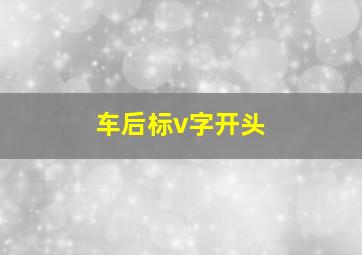 车后标v字开头