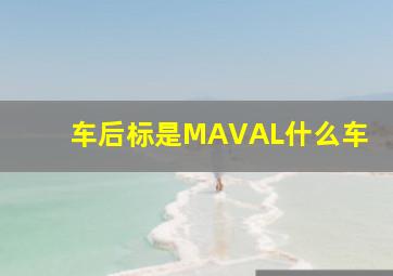 车后标是MAVAL什么车