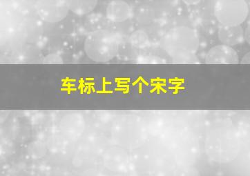 车标上写个宋字