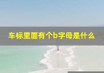 车标里面有个b字母是什么