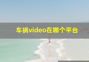 车祸video在哪个平台