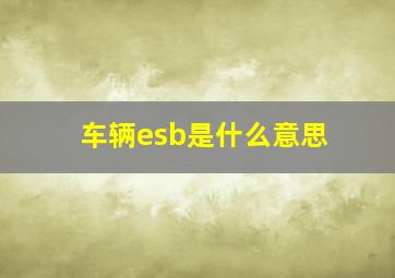 车辆esb是什么意思