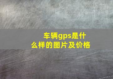 车辆gps是什么样的图片及价格