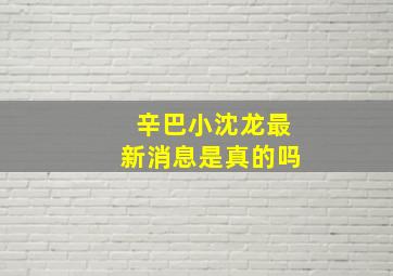 辛巴小沈龙最新消息是真的吗