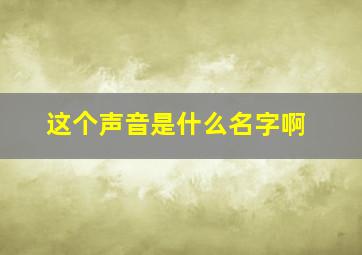 这个声音是什么名字啊