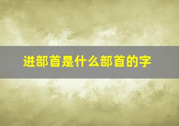 进部首是什么部首的字