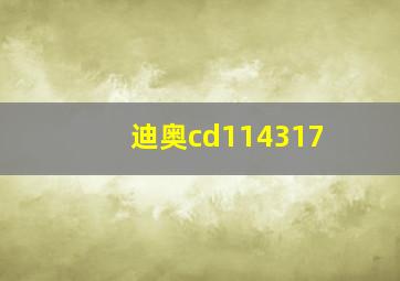 迪奥cd114317