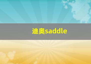 迪奥saddle