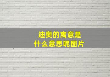 迪奥的寓意是什么意思呢图片