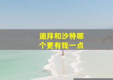 迪拜和沙特哪个更有钱一点