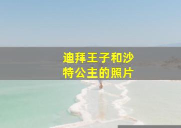 迪拜王子和沙特公主的照片