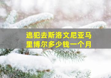 逃犯去斯洛文尼亚马里博尔多少钱一个月