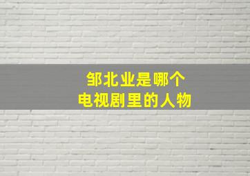 邹北业是哪个电视剧里的人物