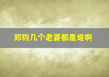 郑钧几个老婆都是谁啊