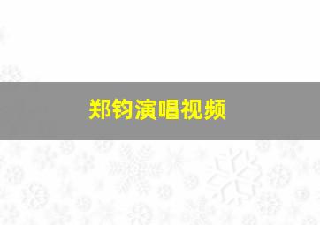 郑钧演唱视频