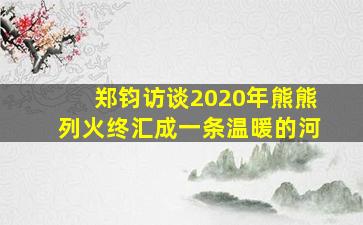 郑钧访谈2020年熊熊列火终汇成一条温暖的河