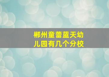 郴州童蕾蓝天幼儿园有几个分校