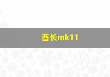 酋长mk11