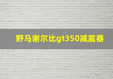 野马谢尔比gt350减震器