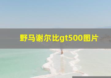 野马谢尔比gt500图片