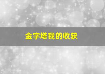 金字塔我的收获